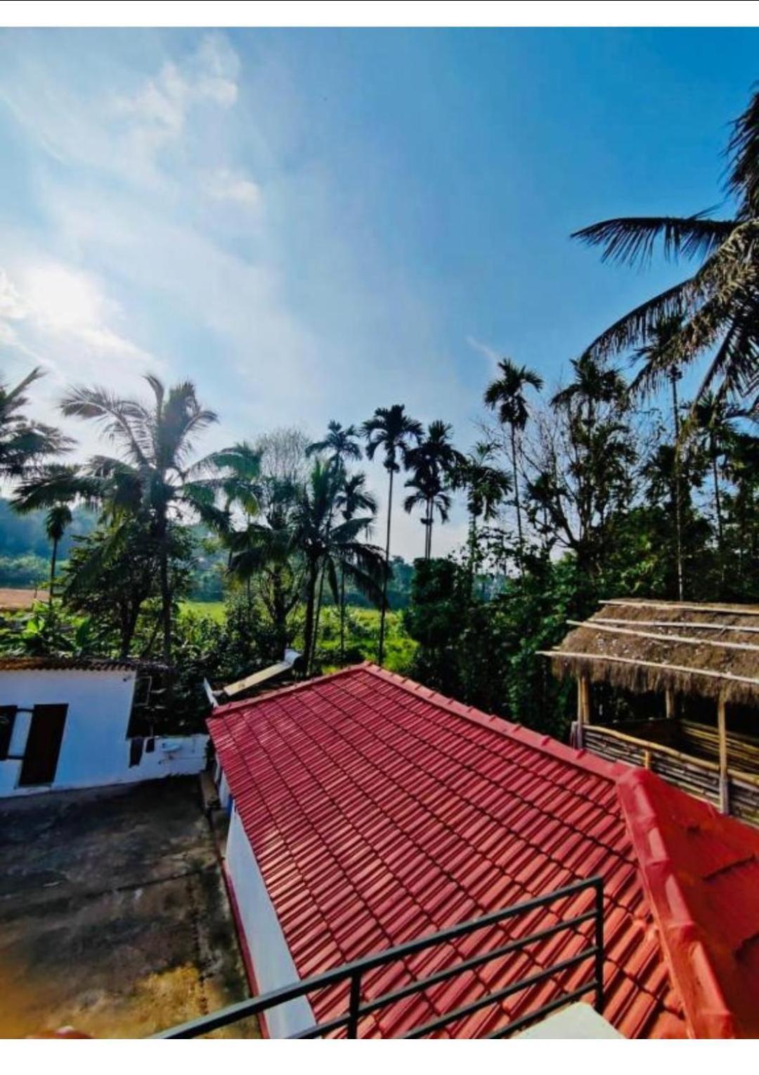 Farm stay Streaming Valley Independent Coffee Estate *